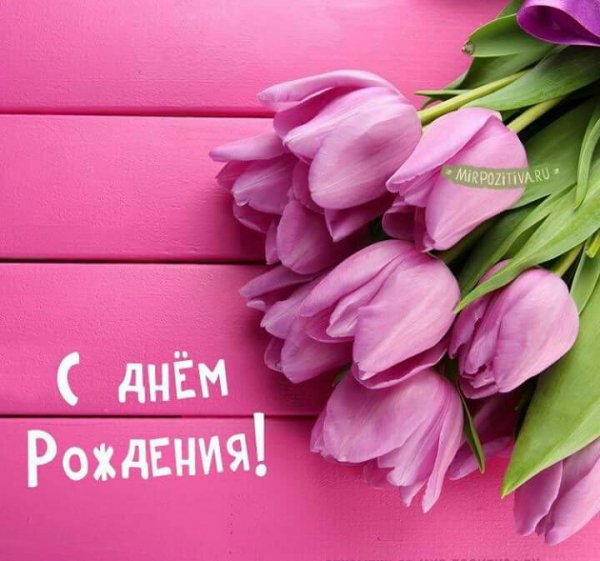 с днём рождения 020016