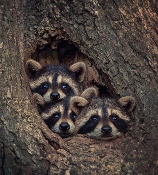 Screenshot 20211109 111306