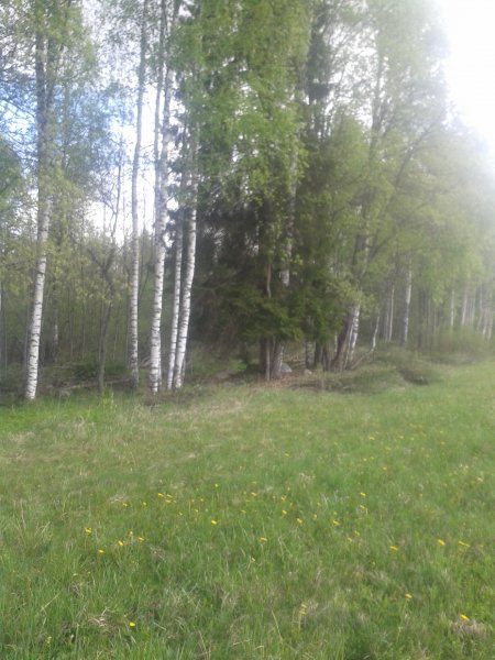 picture_172284528