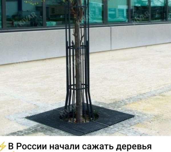 picture_413868942