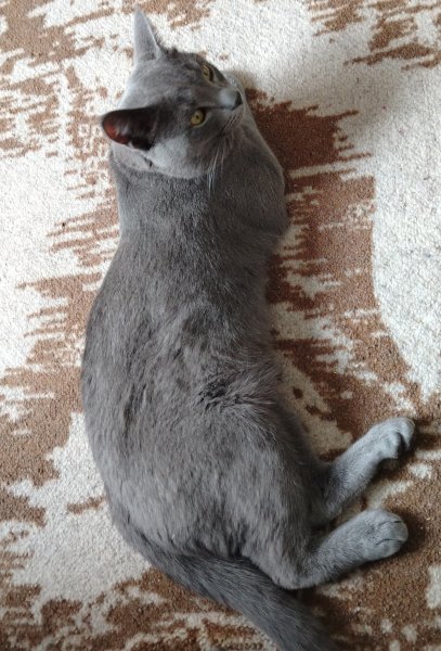 IMG 20250606 120503 edit 41373127686299