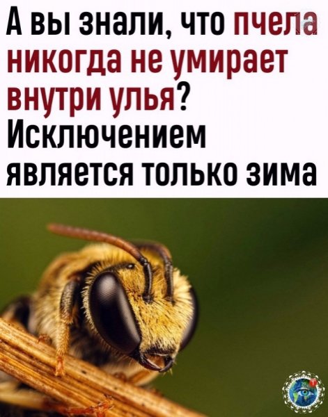 AgcxpYRPgy4