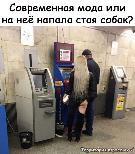IMG 20190204 233327