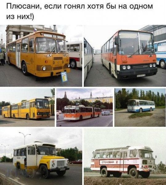 авто