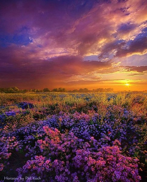 D7372a3f59da7d9559e5e1a5fb3b0598