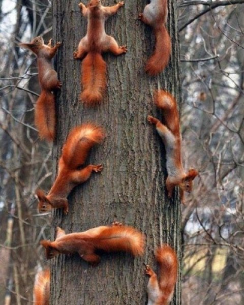 i - 2021-10-01T080628.648