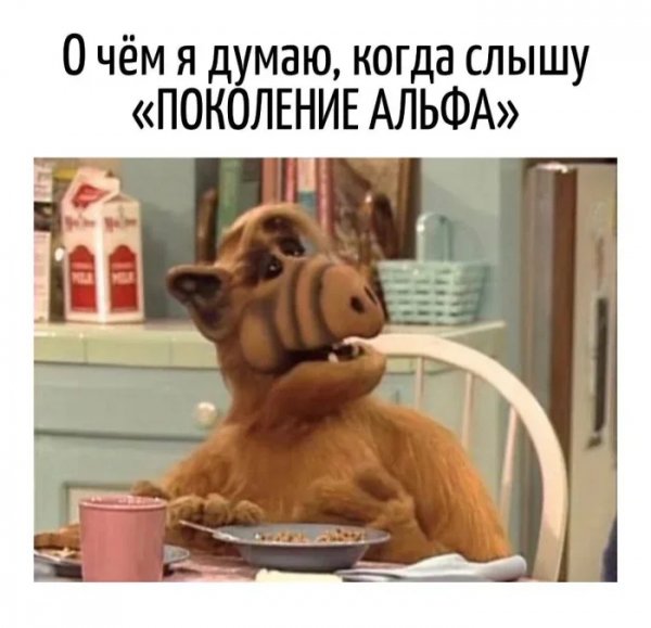 Chhrfs7o
