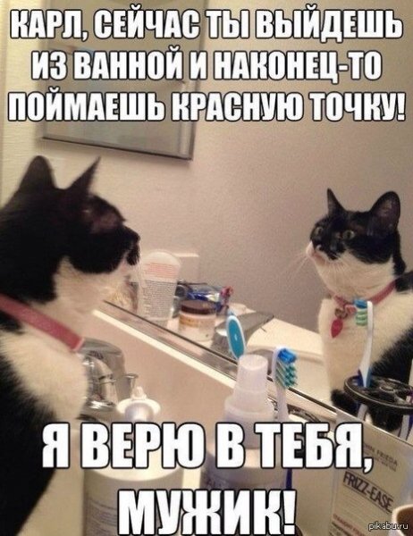 picture_400587658