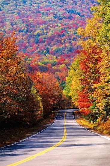 осень золотая