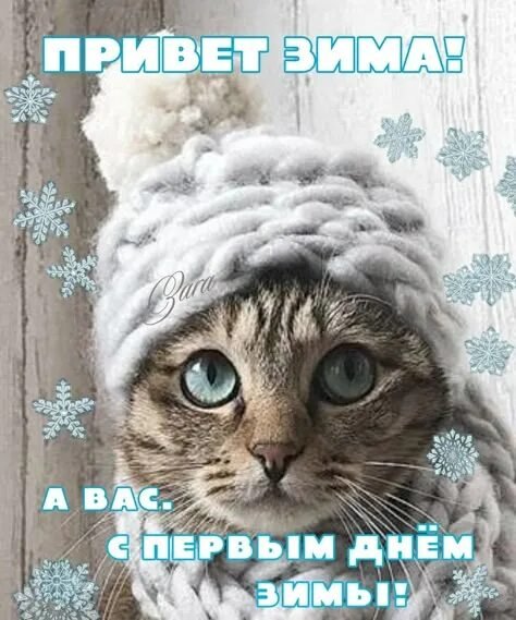 Привет зима!