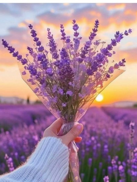 F0SLsyHnQE5XgX GpmJYGWavTefeEEP5W5-6U6khgr ReR49xP0OxTzfNeCD