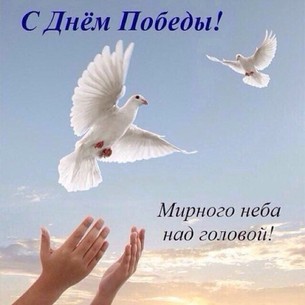 IMG-20190509-WA0001