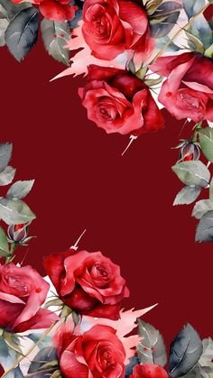 A9c612e58b88e14255bd10736723435c