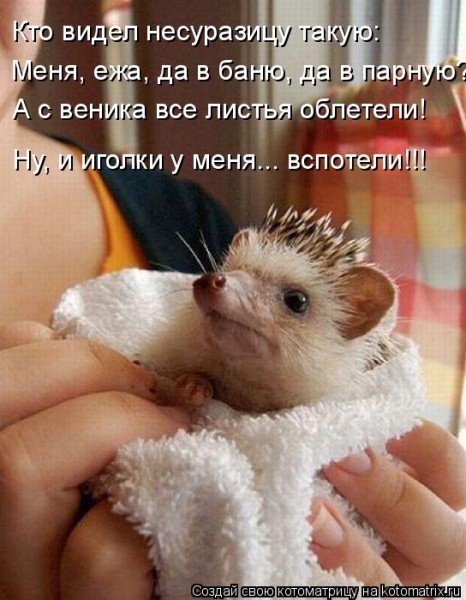 ))