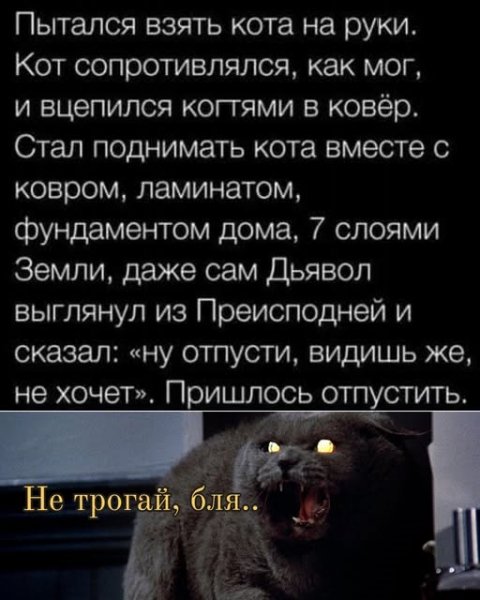 Ceb061e05c 19904905