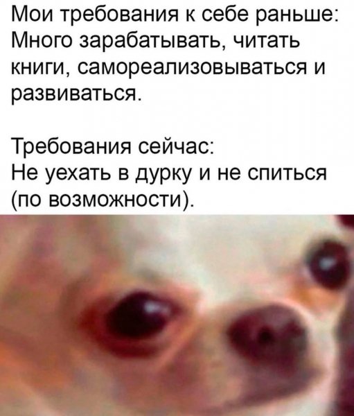 Юмор