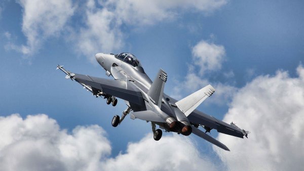 Mcdonnell douglas fa-18 hornet