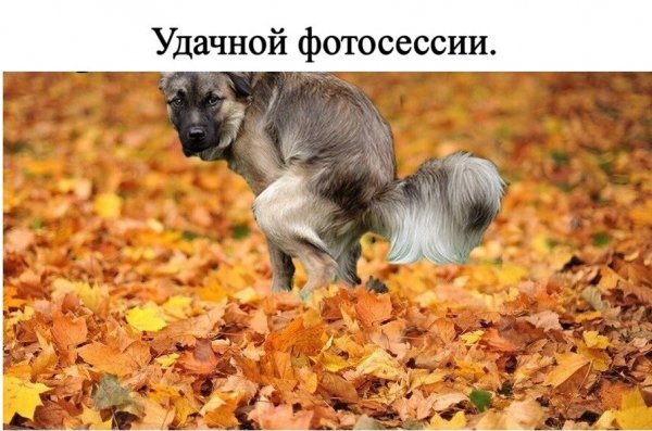 IMG 20250922 092755