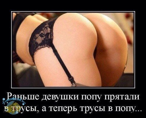 ТРУСЫ В ПОПУ