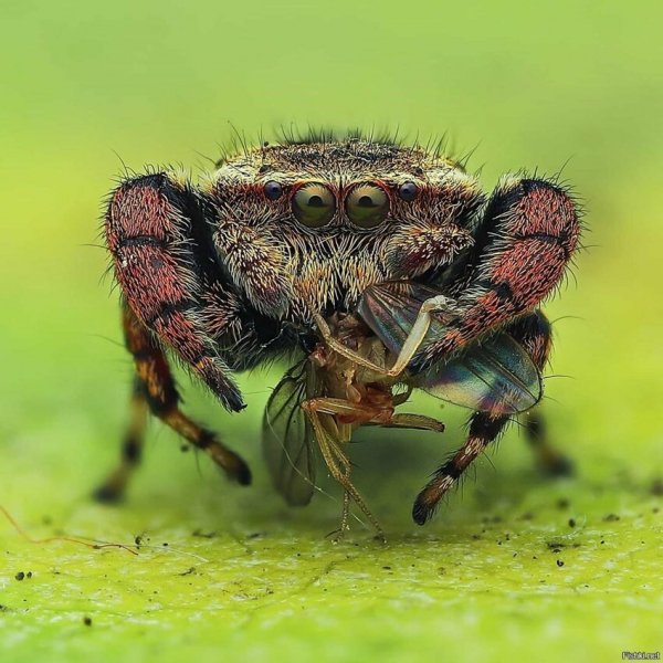 95a58fe2a21bf689bf3d18940953a32e