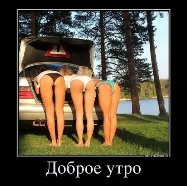 Доброе Утро