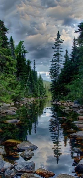 Арт Природа