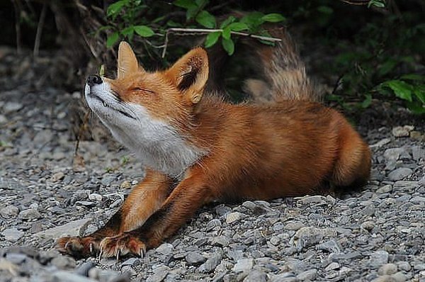 IMG 20150908 125615 66