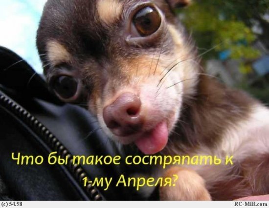 к 1апрелю