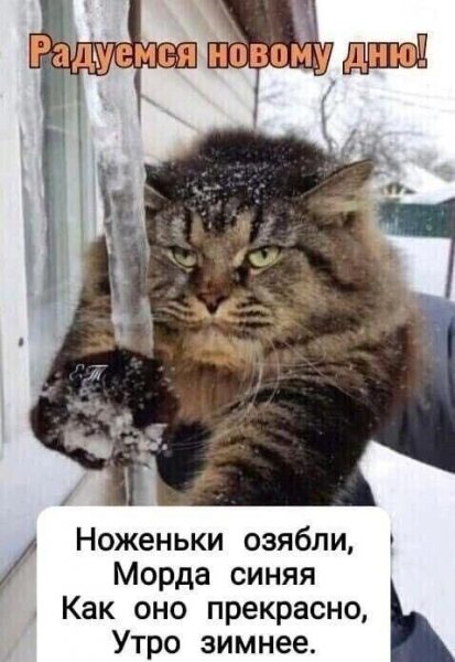 3mNHrdZAg1g9QMnHRWvgPg 8vYPS2oqti-Aw5Ww9