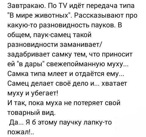 iItkf 7WAQ