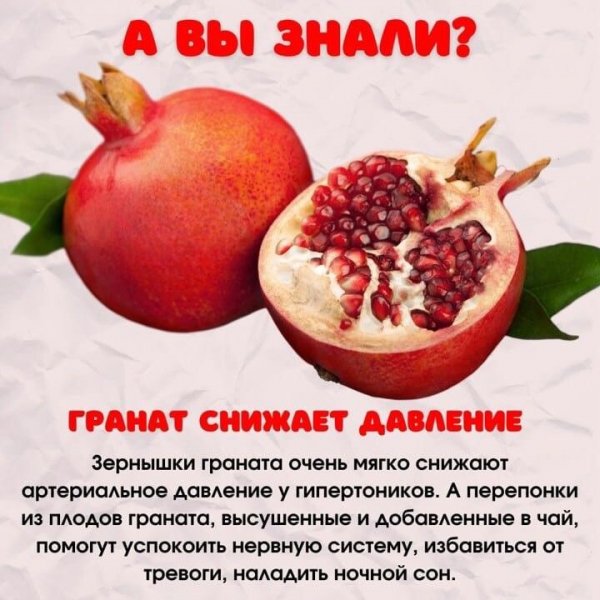 IMG 20250211 102355