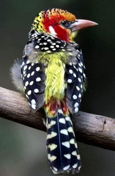 00-43-02-217898745 524586808747165 1003389186281533564 n