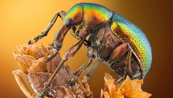 PhotoWebExpo-00-Ozgur-Kerem-Bulur