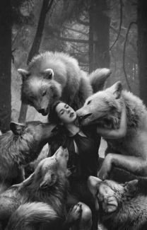 a5fb94ce034619f1b09c16b2d940821b