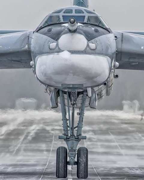 Ту-95