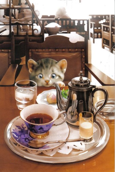 kartinki-pibig-info-p-kotenok-i-kofe-kartinki-art