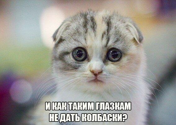 Глазики