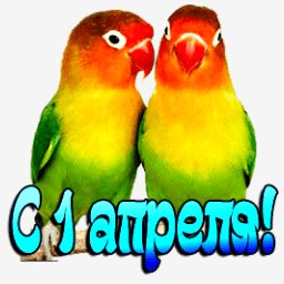 getImage(443)
