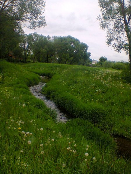 Nuotrauka0531