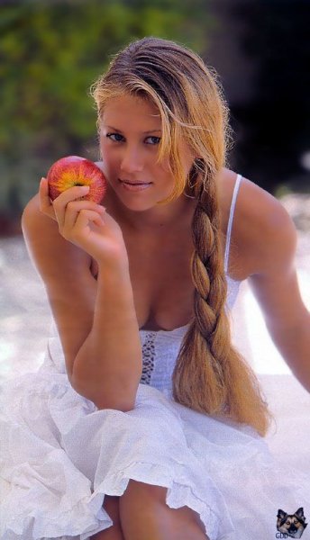 72e9f92c1f42ca5a8811aa0f8512880c