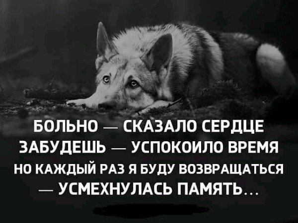 0R7TbcYCIXQ