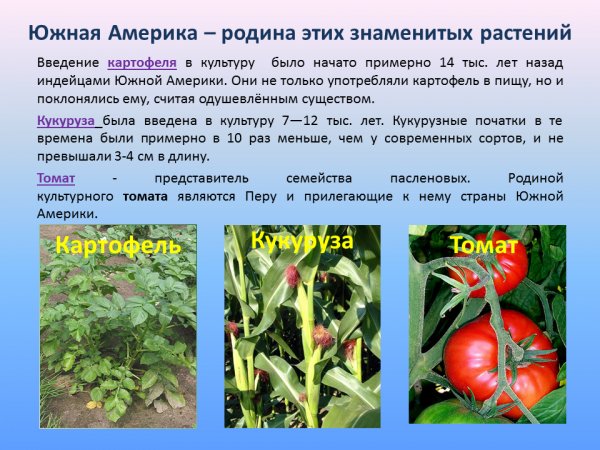 Это интересно