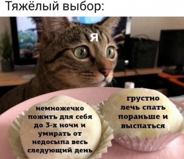 C67ebd0a99 19874514