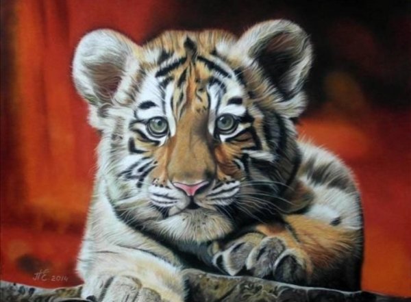 Screenshot 20211216 213627