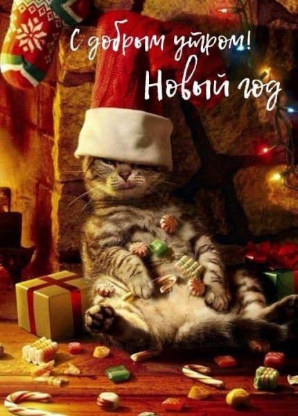 IMG-20250101-WA0026
