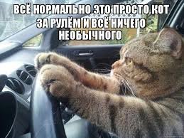 Images (37)