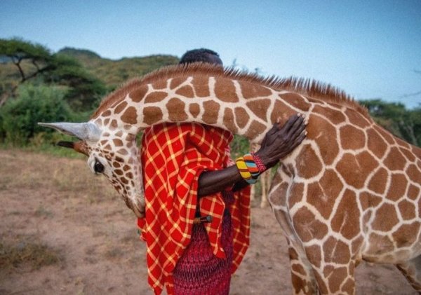 6f115baa38c6c5f45f2b90e3cc714461