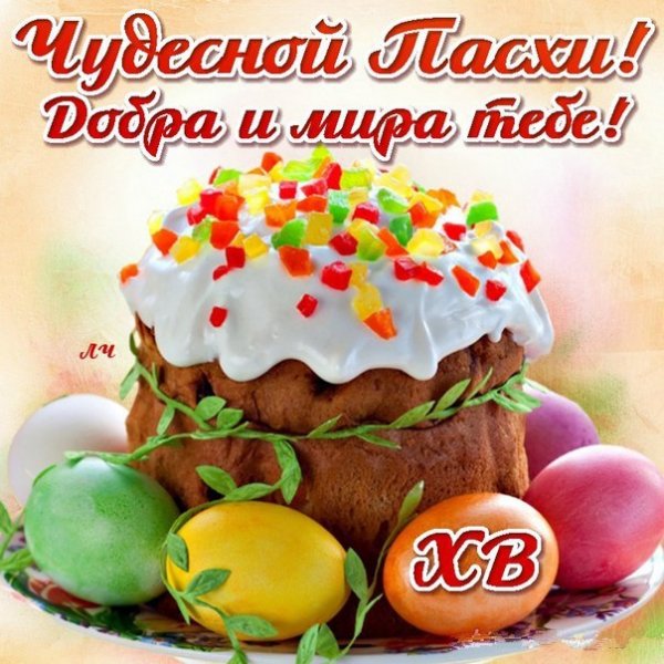 IMG-20190428-WA0011