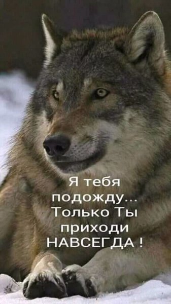 FB IMG 15223873357659644