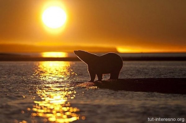 Закат в Арктике